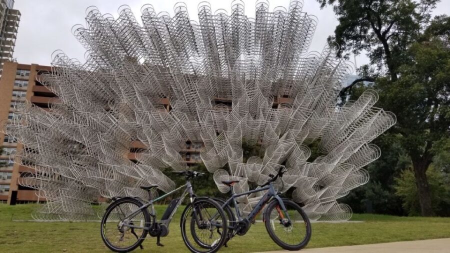Austin: Electric Bike City Sightseeing Tour - Price and value: is $69 worth 150 minutes of Austin time?