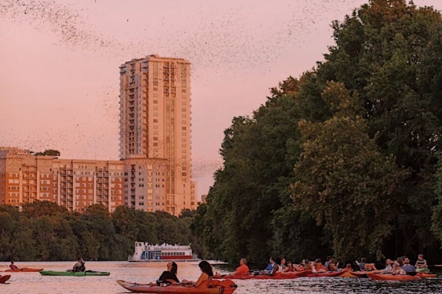 Austin: Sunset Bat Watching Kayak Tour - Austin Rowing Club: gear, briefing, and that first paddle confidence