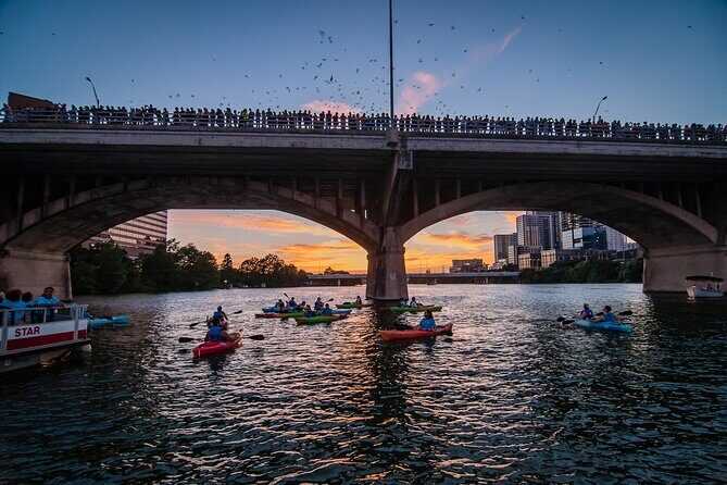Congress Bridge Kayaking Bat Tour - What Makes This Bat Kayaking Tour Worth Your Time