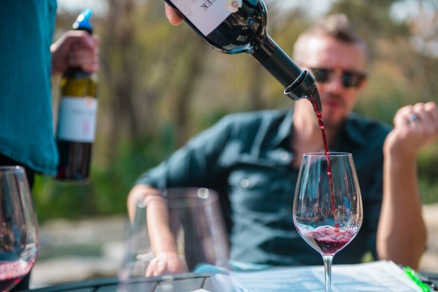 From Austin: Half-Day Hill Country Wine Shuttle - Quick hits before you go