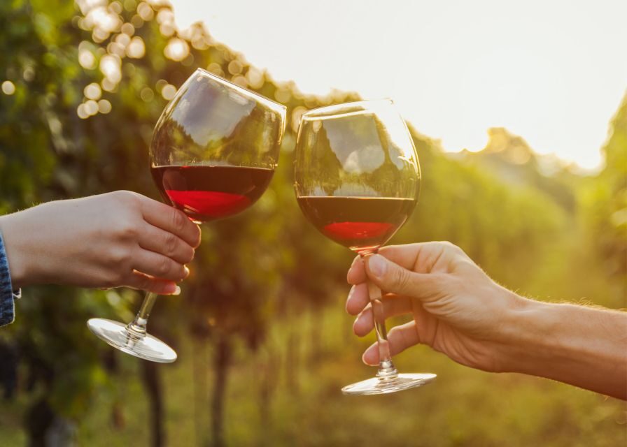From Austin: Half-Day Hill Country Wine Shuttle - Who This Tour Fits Best