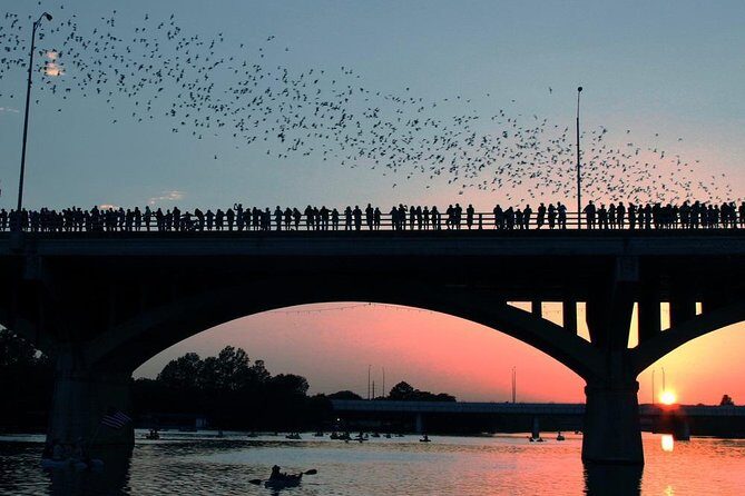 Guided Sunset Bat Kayak Tour in Austin - Key highlights to know before you go